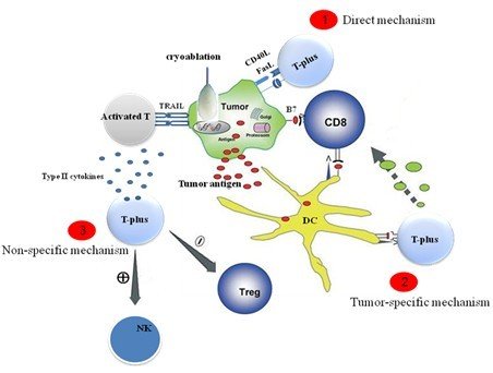 T-plus腫瘤免疫治療